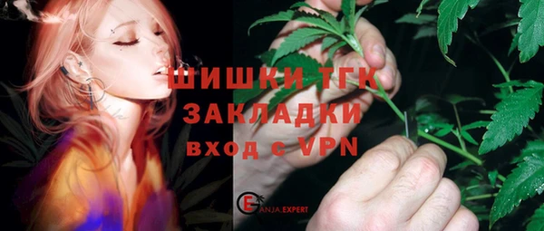 гашик Алексин