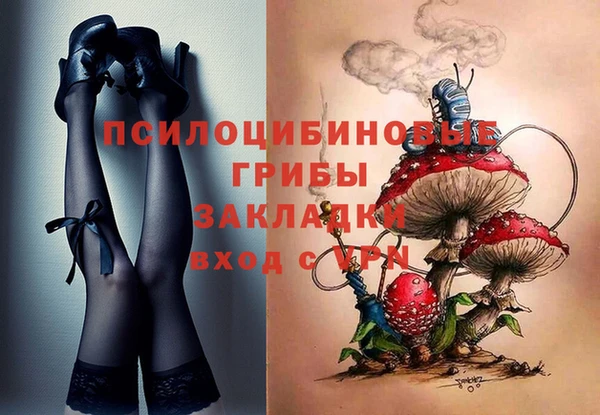 прущий лед Вяземский