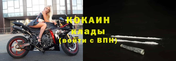 хмурый Гусев