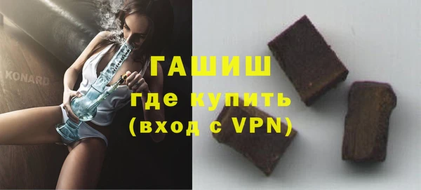 гашик Алексин