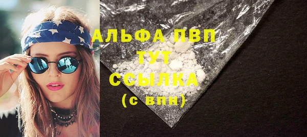 гашик Алексин
