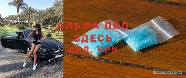 гашик Алексин
