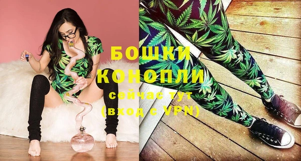 бутират Гусь-Хрустальный