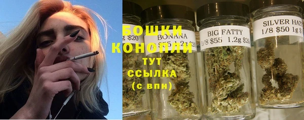 тгк Гусиноозёрск