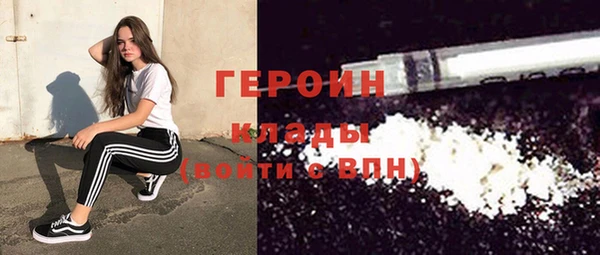 гашик Алексин