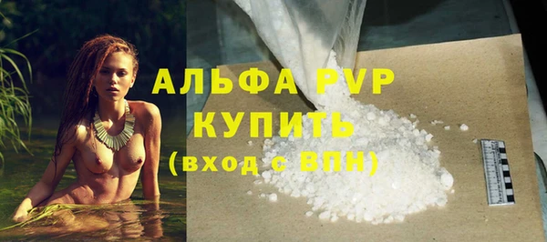 гашик Алексин