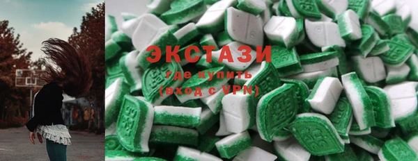 гашик Алексин